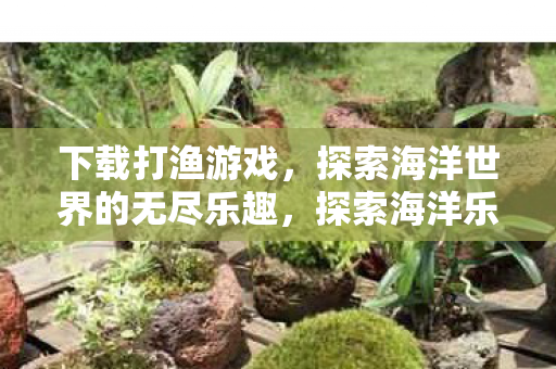 探索海洋世界的无尽乐趣图片