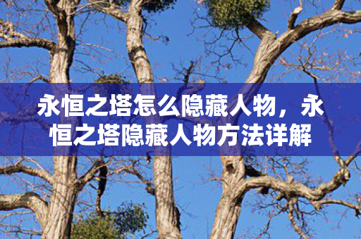 永恒之塔隐藏人物方法详解图片