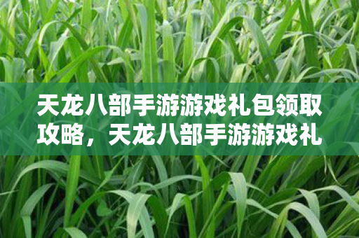 天龙八部手游游戏礼包领取全攻略图片