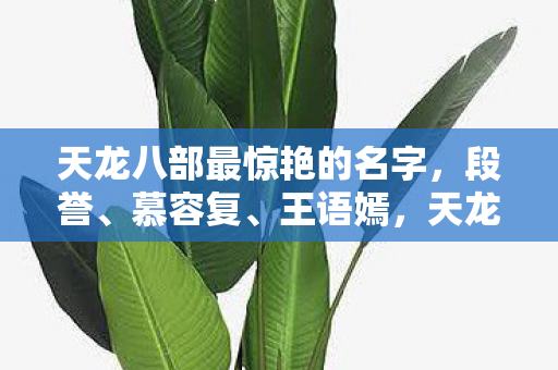天龙八部中最令人惊艳的名字图片