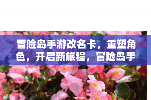 冒险岛手游改名卡，重塑角色，开启新旅程，冒险岛手游，改名卡重塑角色，开启新旅程
