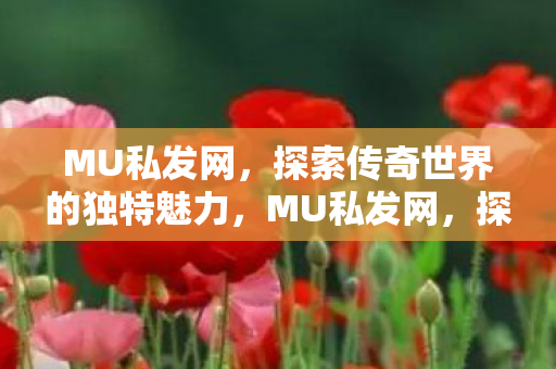 探索传奇世界的独特魅力图片