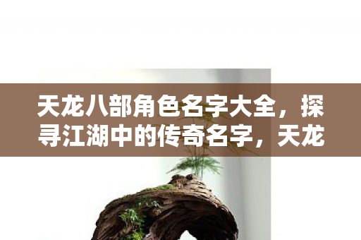 天龙八部角色名字全解析图片