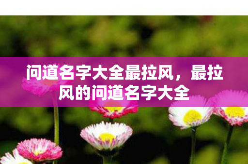 问道名字大全最拉风，最拉风的问道名字大全