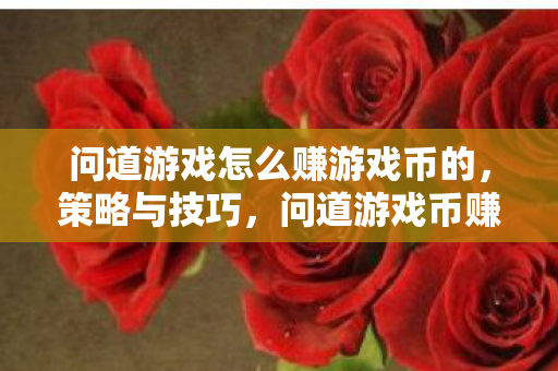 问道游戏怎么赚游戏币的，策略与技巧，问道游戏币赚取策略与技巧