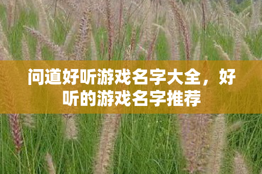 问道好听游戏名字大全,好听的游戏名字推荐 问道好听游戏名字大全,好听的游戏名字推荐