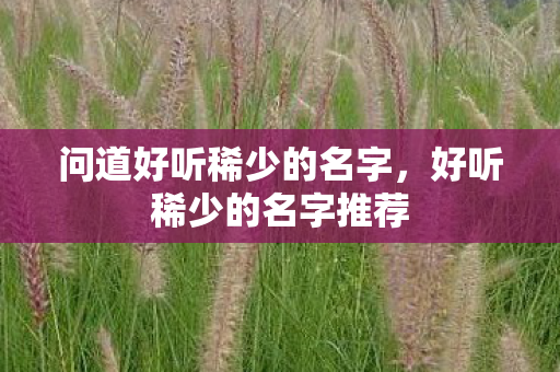 问道好听稀少的名字，好听稀少的名字推荐