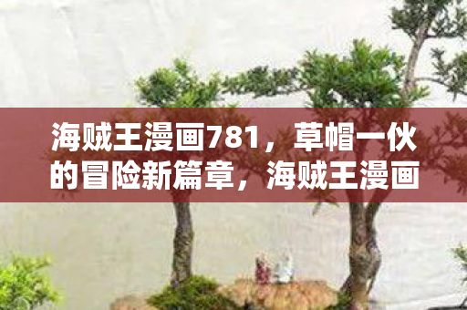 草帽一伙冒险新篇章开启图片
