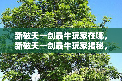 新破天一剑最牛玩家在哪，新破天一剑最牛玩家揭秘，谁才是游戏界的传奇？