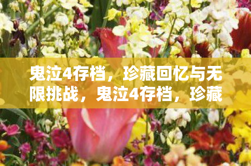 珍藏回忆与无限挑战图片