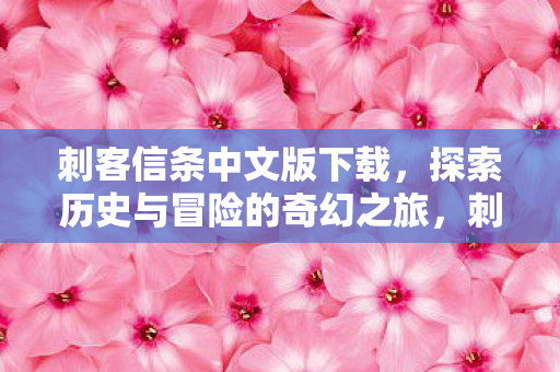 刺客信条中文版下载，探索历史与冒险的奇幻之旅，刺客信条中文版，探索历史与冒险的奇幻之旅下载
