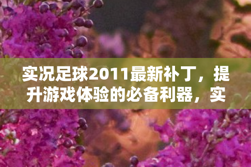 实况足球2011最新补丁,提升游戏体验的必备利器,实况足球2011最新补丁,提升游戏体验的必备利器 实况足球2011最新补丁,提升游戏体验的必备利器,实况足球2011最新补丁,提升游戏体验的必备利器