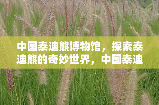 中国泰迪熊博物馆,探索泰迪熊的奇妙世界,中国泰迪熊博物馆,探索泰迪熊的奇妙世界 中国泰迪熊博物馆,探索泰迪熊的奇妙世界,中国泰迪熊博物馆,探索泰迪熊的奇妙世界