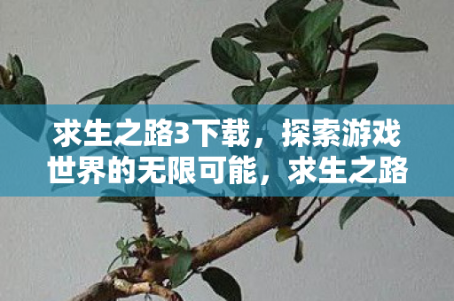 探索游戏世界的无限可能图片