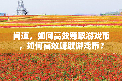 问道,如何高效赚取游戏币,如何高效赚取游戏币? 问道,如何高效赚取游戏币,如何高效赚取游戏币?