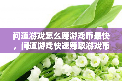 问道游戏怎么赚游戏币最快,问道游戏快速赚取游戏币攻略 问道游戏怎么赚游戏币最快,问道游戏快速赚取游戏币攻略