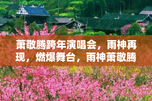雨神萧敬腾跨年演唱会燃爆全场图片