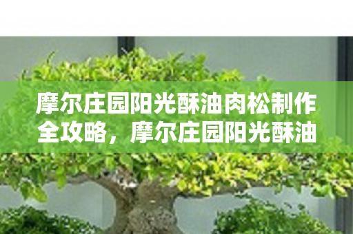 摩尔庄园阳光酥油肉松制作全攻略图片