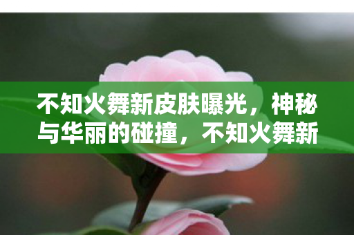 神秘与华丽的视觉盛宴图片