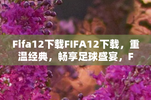 Fifa12下载FIFA12下载图片