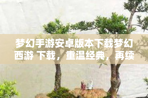 梦幻手游安卓版本下载梦幻西游 下载图片