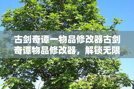 古剑奇谭一物品修改器古剑奇谭物品修改器图片