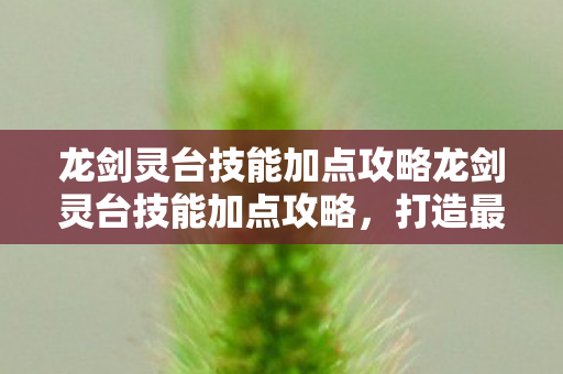 龙剑灵台技能加点攻略龙剑灵台技能加点攻略图片
