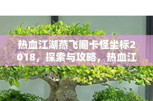 热血江湖燕飞阁卡怪坐标2018，探索与攻略，热血江湖燕飞阁卡怪坐标2018，探索与攻略全解析