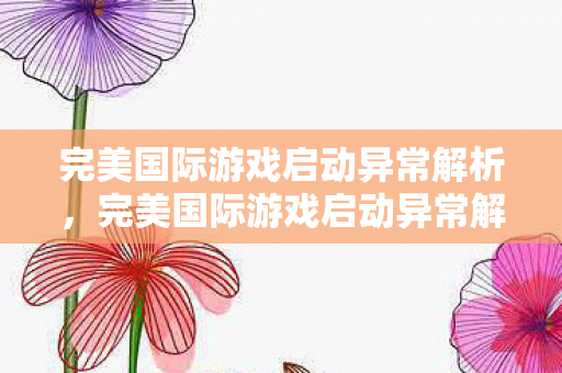 完美国际游戏启动异常解析图片