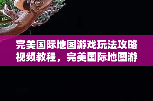 完美国际地图游戏玩法攻略视频教程图片