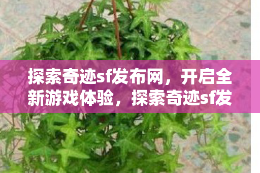 开启全新游戏体验之旅图片