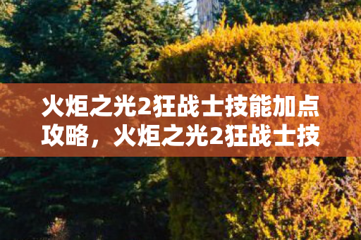 火炬之光2狂战士技能加点攻略,火炬之光2狂战士技能加点攻略,打造最强战斗狂人 火炬之光2狂战士技能加点攻略,火炬之光2狂战士技能加点攻略,打造最强战斗狂人
