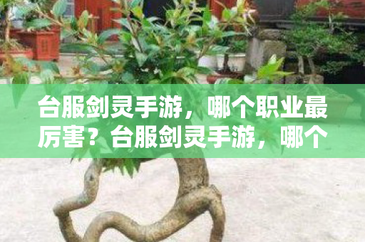 台服剑灵手游，哪个职业最厉害？台服剑灵手游，哪个职业最厉害？