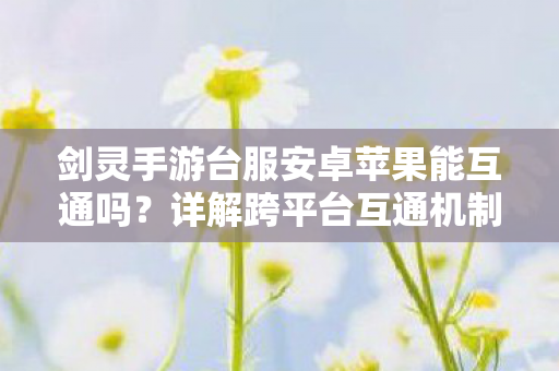 剑灵手游台服安卓苹果能互通吗？详解跨平台互通机制，详解剑灵手游台服跨平台互通机制，安卓苹果能否互通？