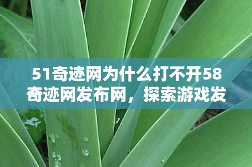 51奇迹网为什么打不开58奇迹网发布网图片