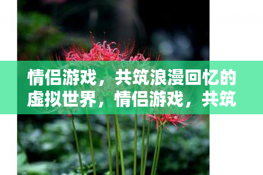 共筑浪漫回忆的虚拟世界图片