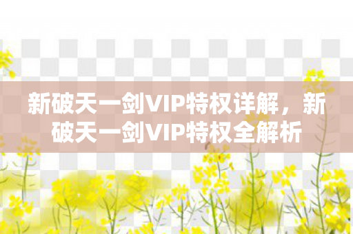 新破天一剑VIP特权详解,新破天一剑VIP特权全解析 新破天一剑VIP特权详解,新破天一剑VIP特权全解析
