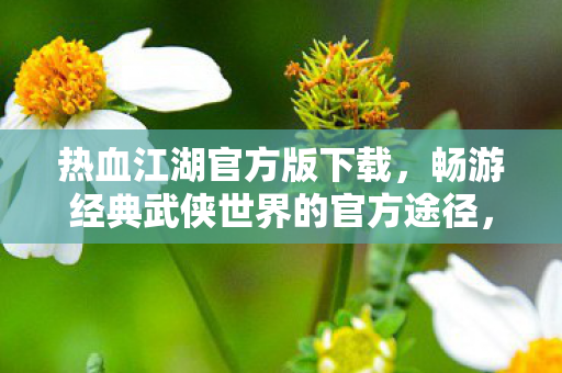 热血江湖官方版下载,畅游经典武侠世界的官方途径,热血江湖官方版下载,畅游经典武侠世界的官方途径 热血江湖官方版下载,畅游经典武侠世界的官方途径,热血江湖官方版下载,畅游经典武侠世界的官方途径