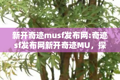 奇迹sf发布网新开奇迹MU图片