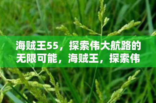 探索伟大航路的无限可能图片
