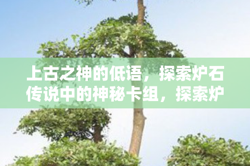 探索炉石传说中的神秘卡组图片