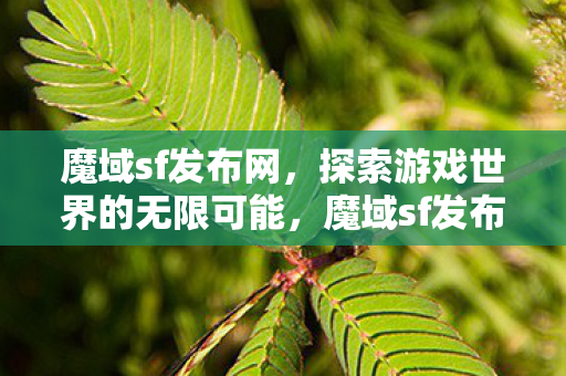 探索游戏世界的无限可能图片