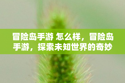 冒险岛手游 怎么样，冒险岛手游，探索未知世界的奇妙之旅