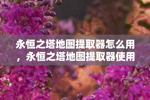 永恒之塔地图提取器使用指南图片