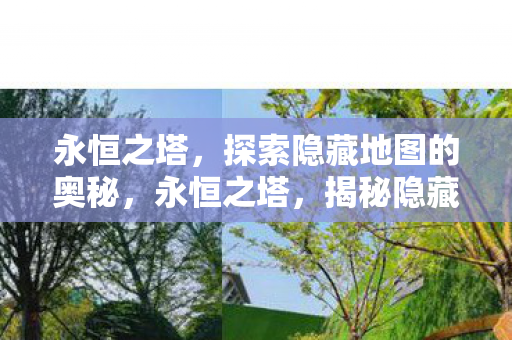 探索隐藏地图的奥秘图片