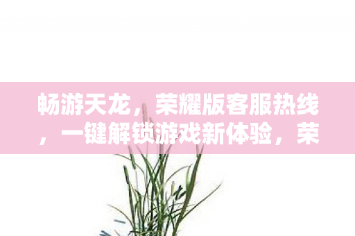 一键解锁游戏新体验图片