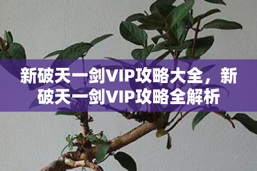 新破天一剑VIP攻略大全,新破天一剑VIP攻略全解析 新破天一剑VIP攻略大全,新破天一剑VIP攻略全解析