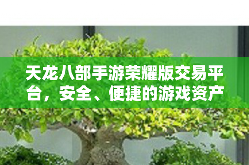 天龙八部手游荣耀版交易平台图片
