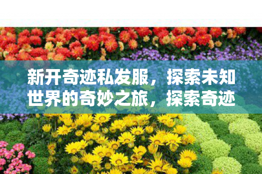 探索未知世界的奇妙之旅图片