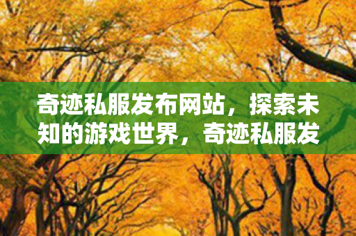 探索未知游戏世界的门户图片
